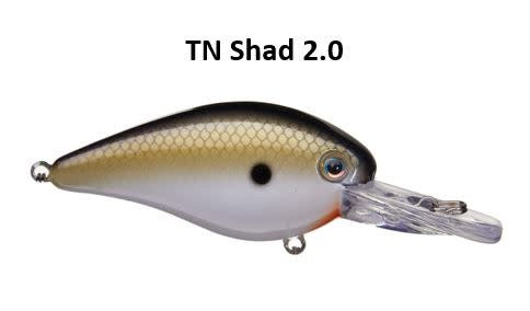 Strike King KVD 1.5 Deep Diver Squarebill Crankbait