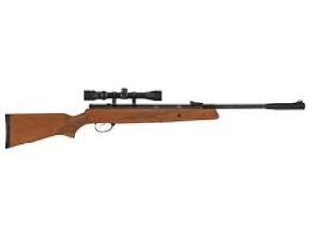 Hatsan Mod 95 Spring Combo .22 Cal. Air Rifle-walnut Stock