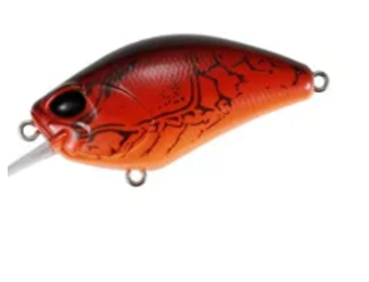 Realis Crank 55SR Kabuki