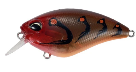 Realis Apex crank 66 Squared