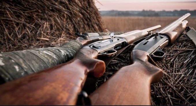 Used Shotguns