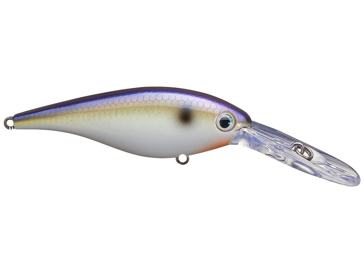 Strike King Pro Model Lucky Shad