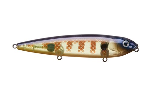 Strike King HC KVD Sexy Dawg Hard Knock