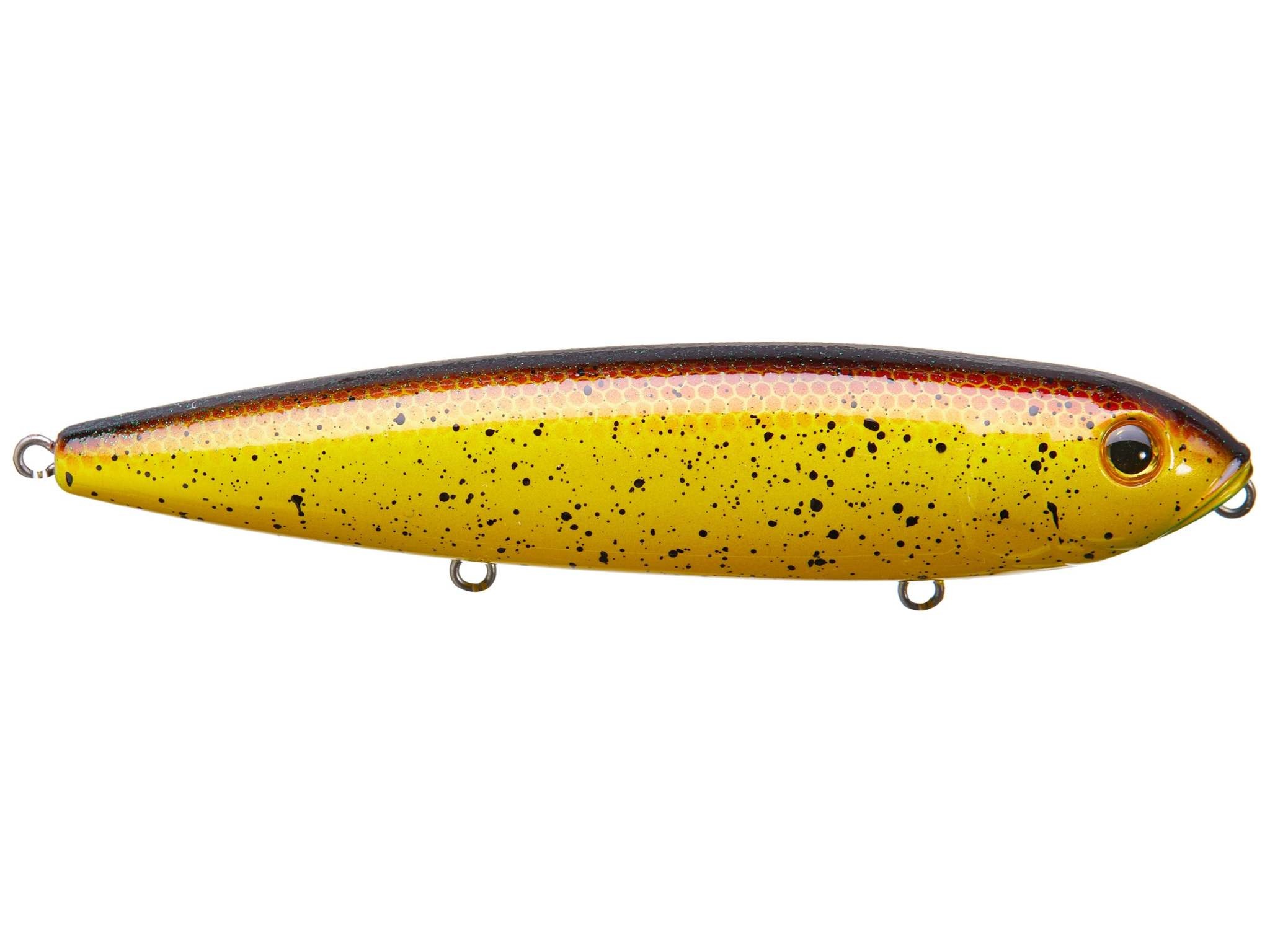 Strike King HC KVD Sexy Dawg Hard Knock