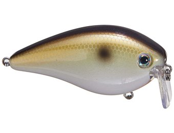 Strike King HC KVD Wakebait