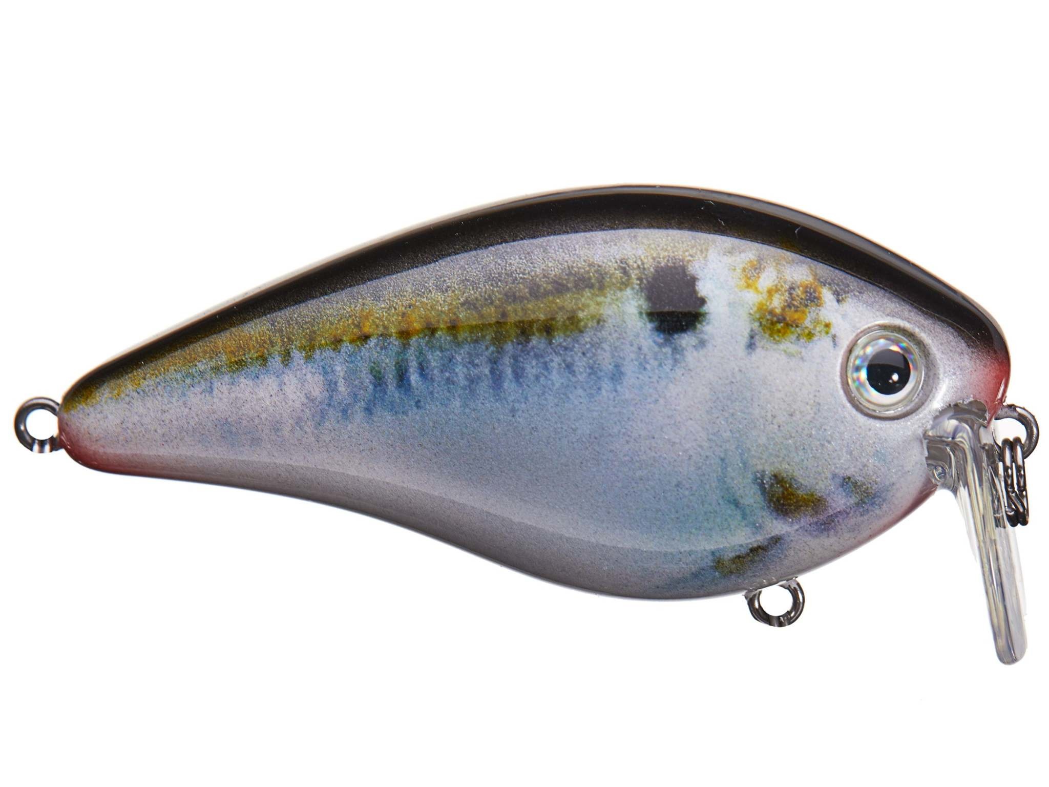 Strike King HC KVD Wakebait