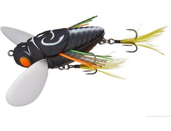 REALIS DEKASHINMUSHI