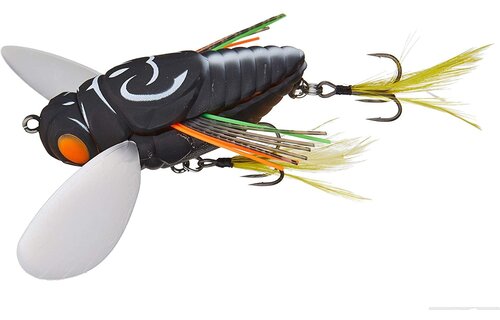 REALIS DEKASHINMUSHI