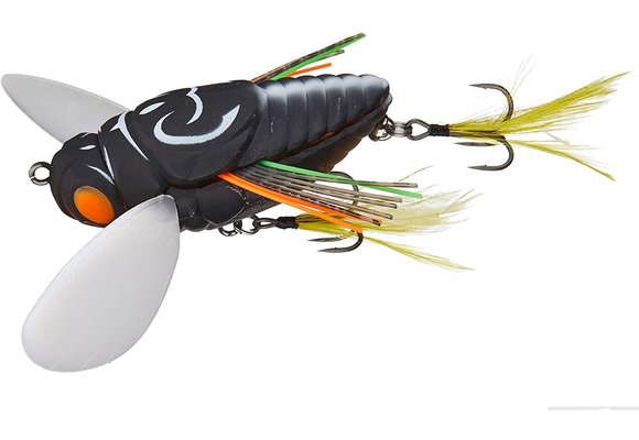 REALIS DEKASHINMUSHI