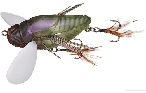 REALIS DEKASHINMUSHI