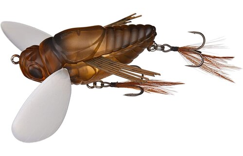 REALIS DEKASHINMUSHI