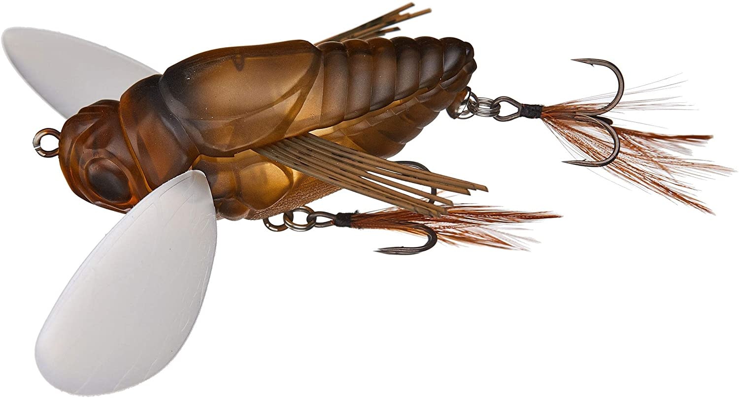 REALIS DEKASHINMUSHI