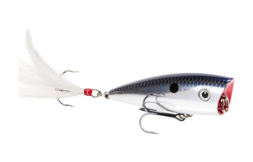 Strike King HC KVD Splash Popper