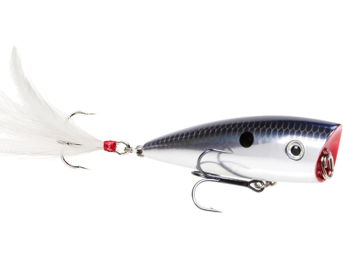 Strike King HC KVD Splash Popper