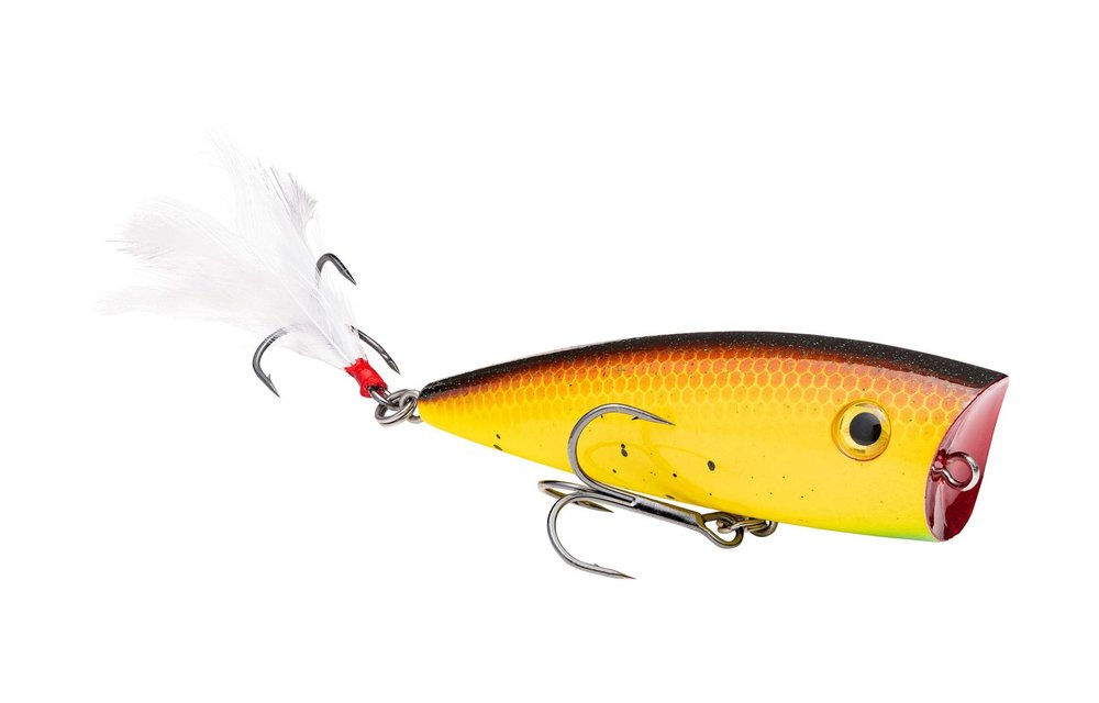 Strike King HC KVD Splash Popper