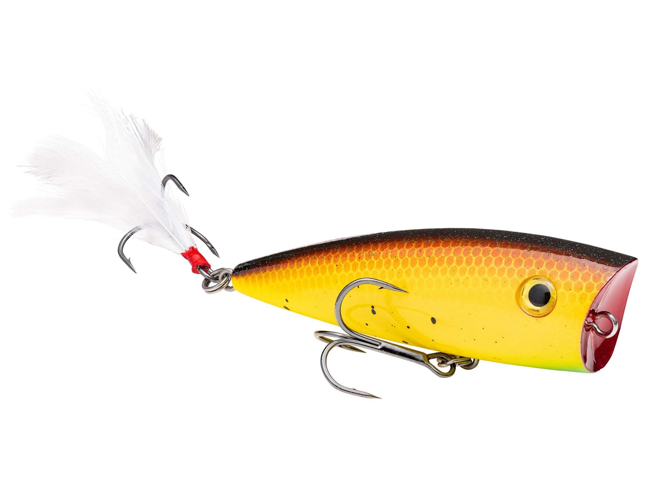 Strike King HC KVD Splash Popper