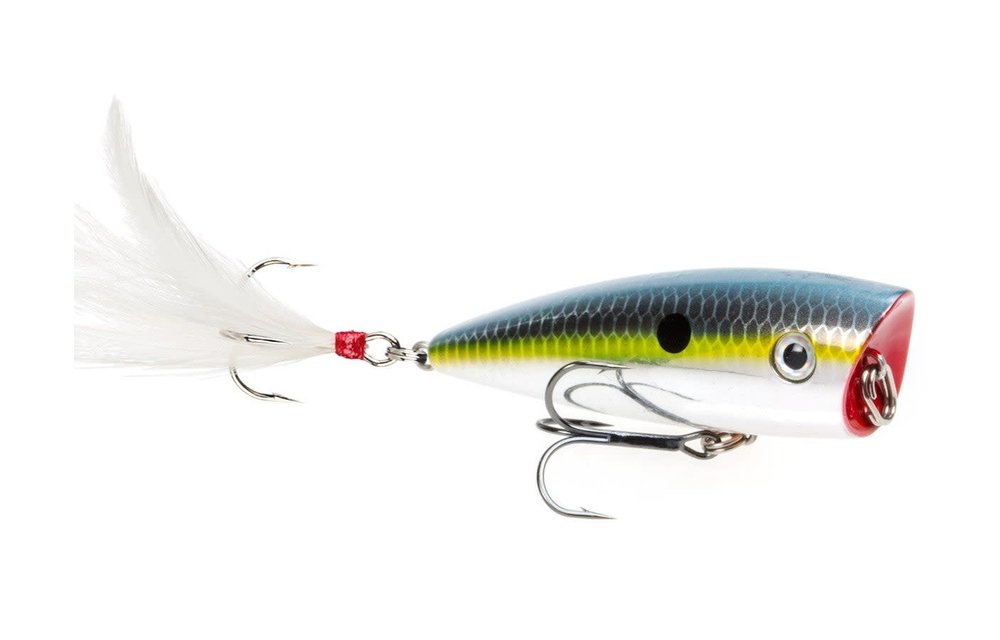 Strike King HC KVD Splash Popper