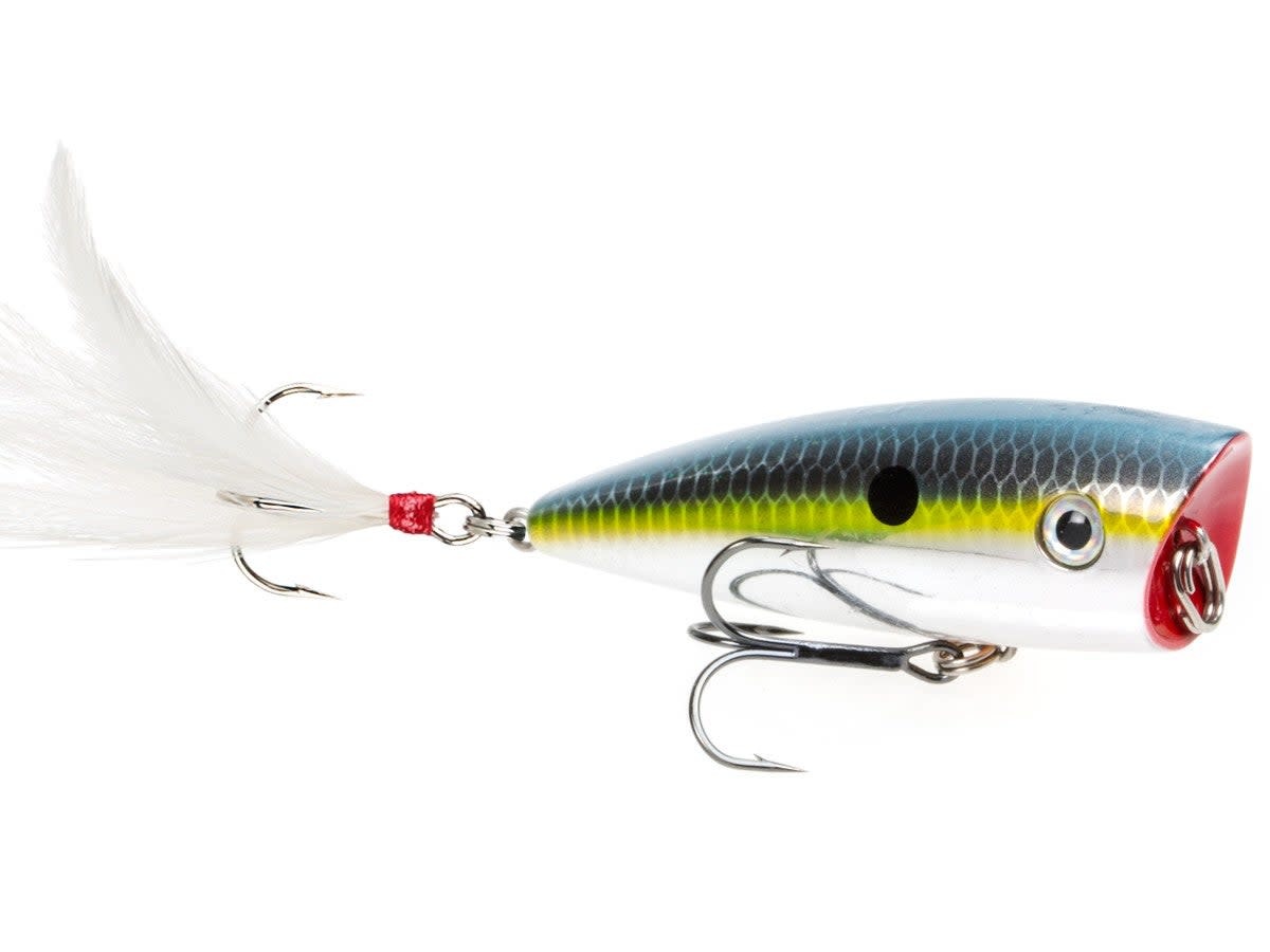 Strike King HC KVD Splash Popper