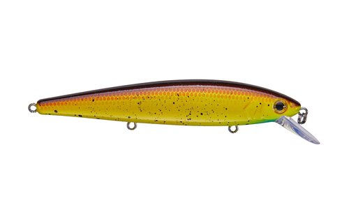 Strike King KVD Jerkbait