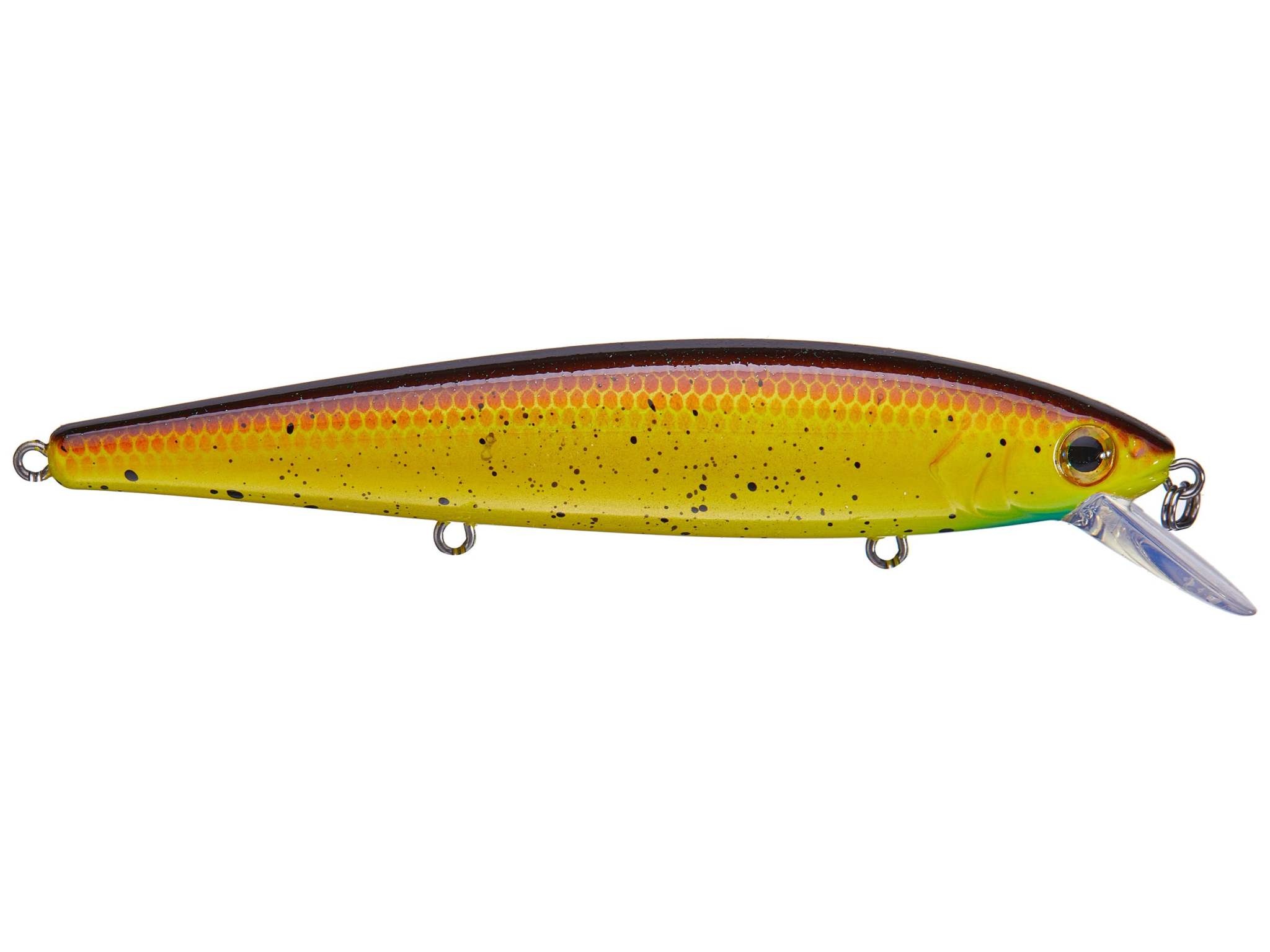 Strike King KVD Jerkbait