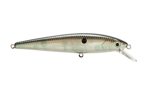 Strike King KVD Jerkbait