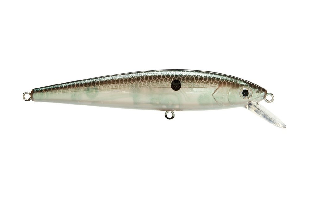 Strike King KVD Jerkbait