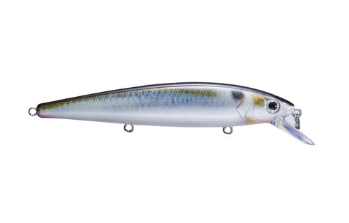 Strike King KVD 100 Jerkbait