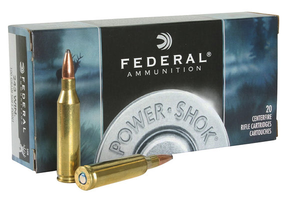 Federal 243B Power-Shok 243 Win 100 gr Jacketed Soft Point (JSP) 20 Bx/ 10 Cs