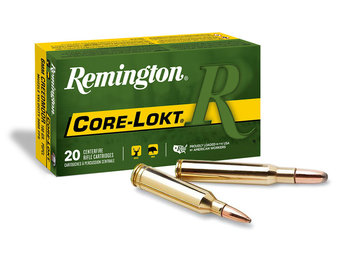 Remington Core-Lokt 30-06 125gr PSP