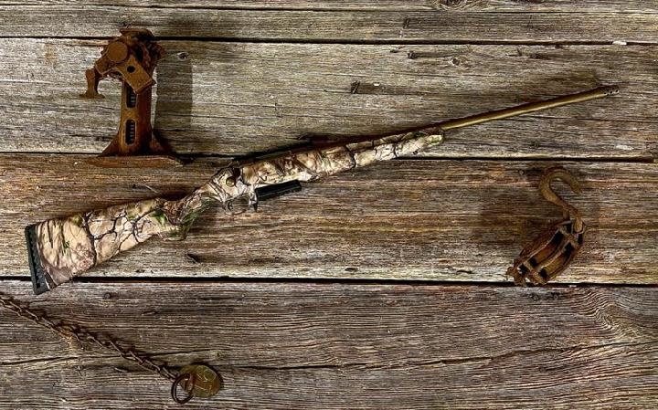 Ruger Ruger American Rifle 308