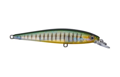 Strike King KVD 100 Jerkbait
