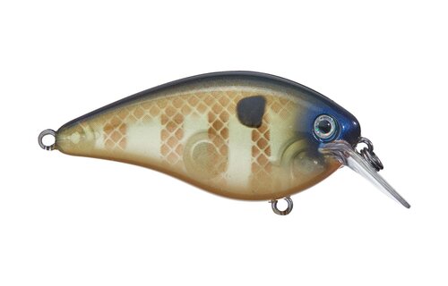 Strike King KVD 1.5 Hard Knock Squarebill Crankbait