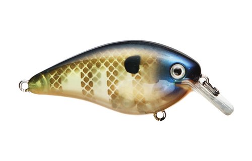 Strike King KVD 2.5 Square Bill