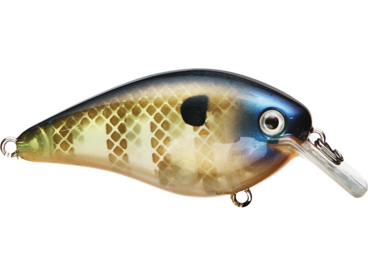 Strike King KVD 2.5 Square Bill