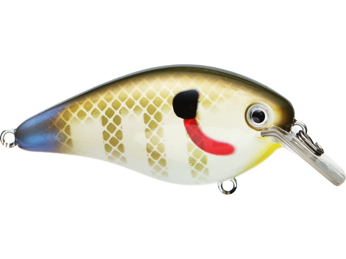 Strike King KVD 2.5 Square Bill