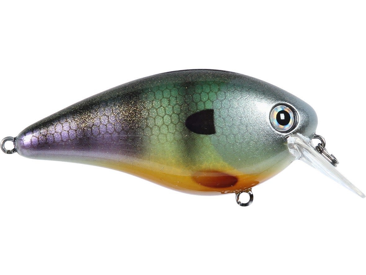 Strike King KVD 2.5 Square Bill