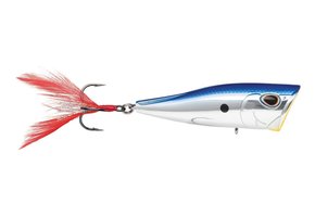 Storm Arashi Cover Pop