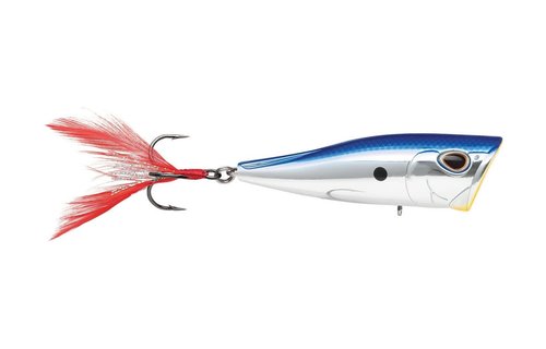 Storm Arashi Cover Pop