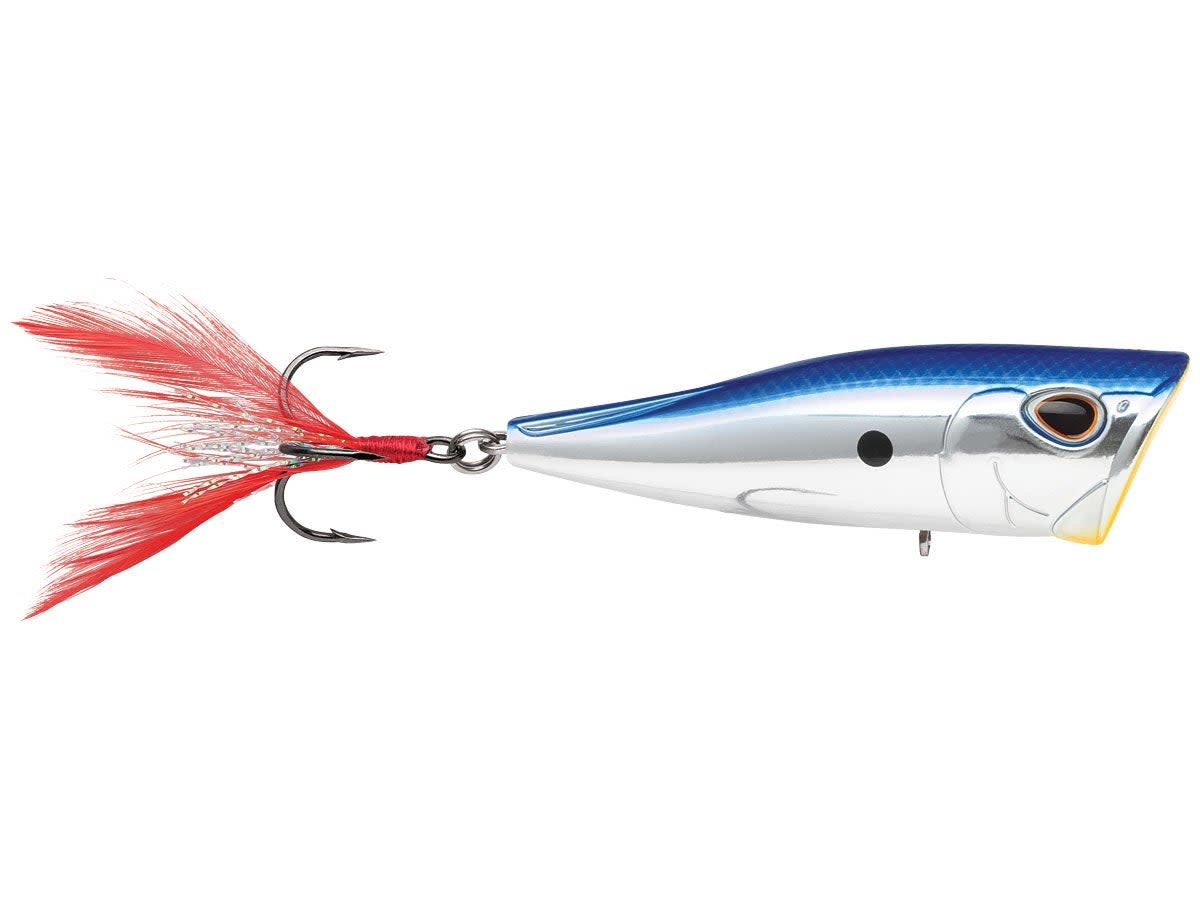 Storm Arashi Cover Pop