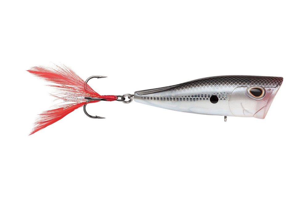 Storm Arashi Cover Pop