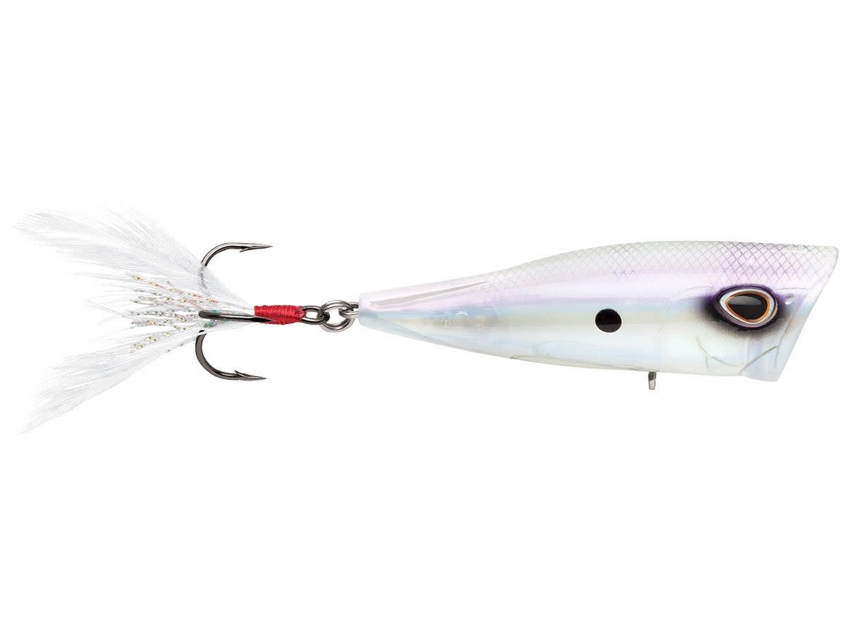 Storm Arashi Cover Pop