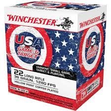 Winchester .22 LR, 36gr, 500rd Copper Plated Hollow Point