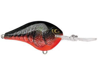 Rapala DT Crankbait