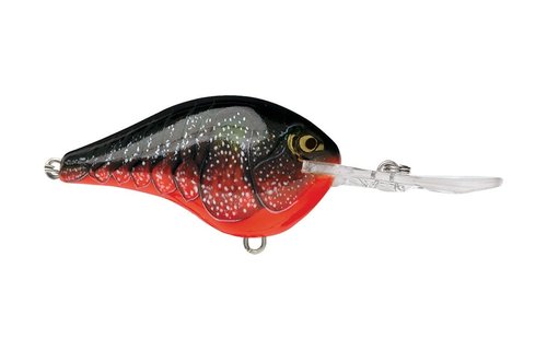 Rapala DT Crankbait