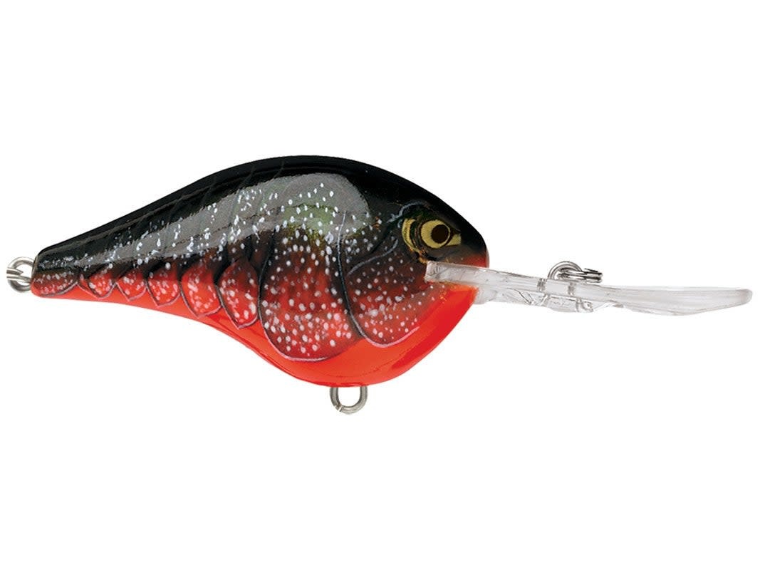 Rapala DT Crankbait