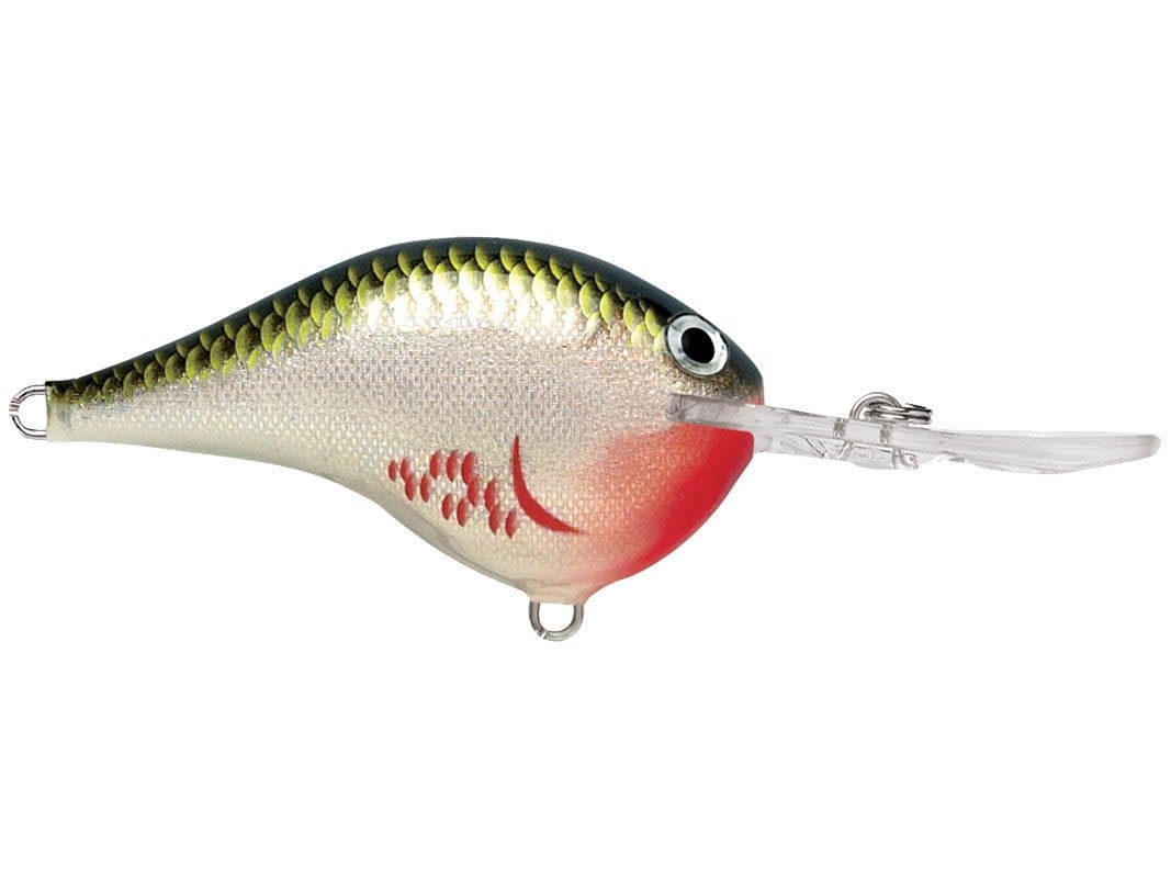 Rapala DT Crankbait
