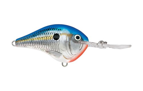 Rapala DT Crankbait
