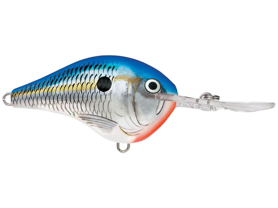 Rapala DT Crankbait