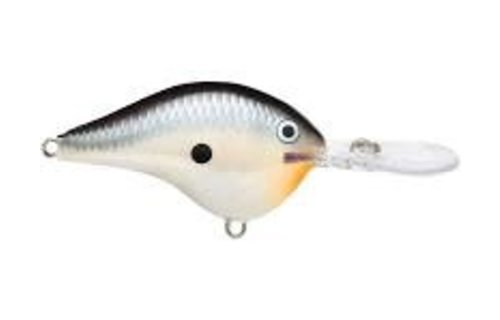 Rapala DT Crankbait