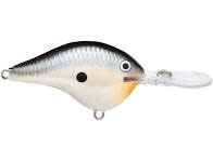 Rapala DT Crankbait